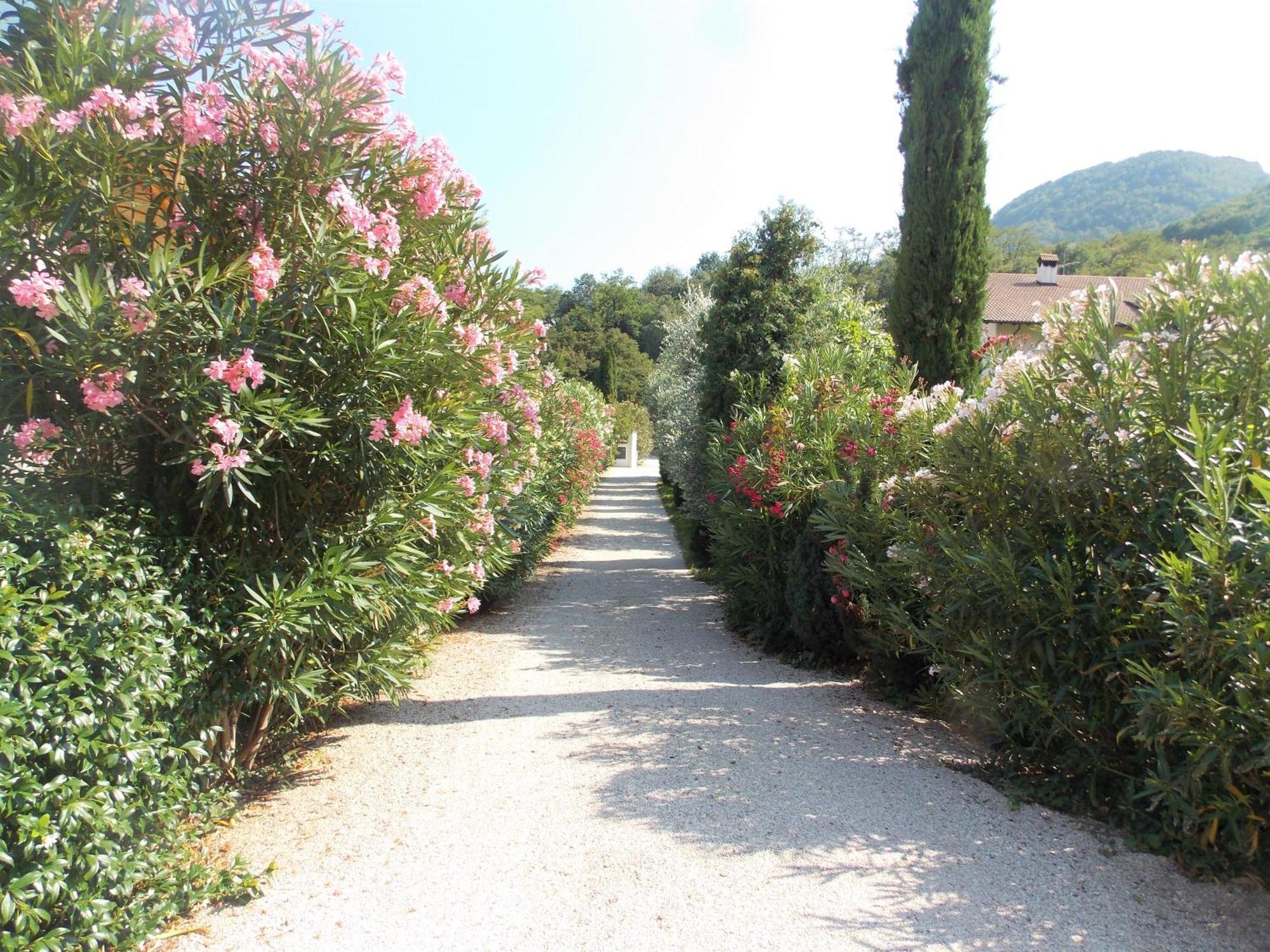 St. Josefhof Apartment Caldaro Bagian luar foto
